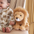 Load image into Gallery viewer, Large Cuddle Plush Friends | Rory Lion