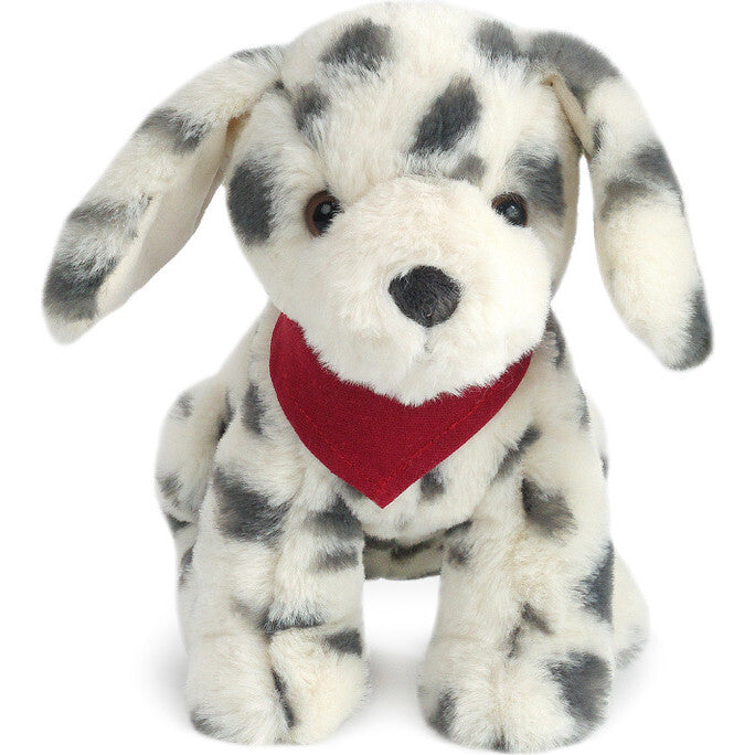 Smudge Dalmation Dog
