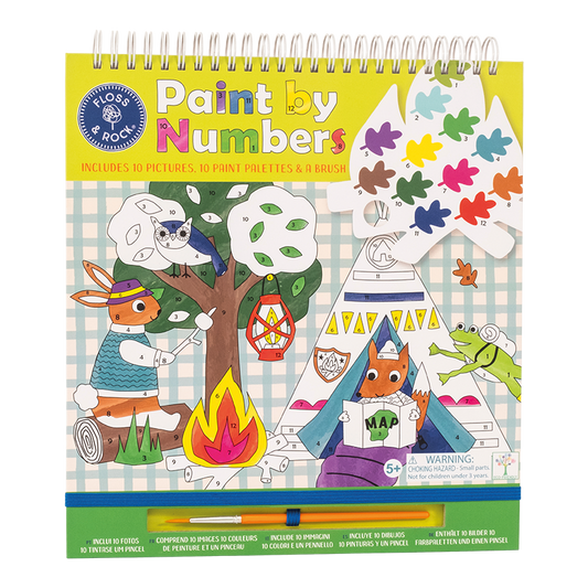 Adventure Paint By Numbers