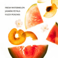 Load image into Gallery viewer, Touchland Hand Sanitizer - Wild Watermelon
