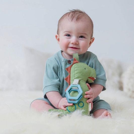 Link & Love Activity Plush and Teether - Dino