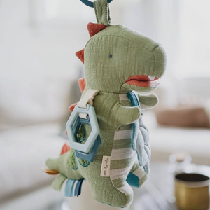 Link & Love Activity Plush and Teether - Dino