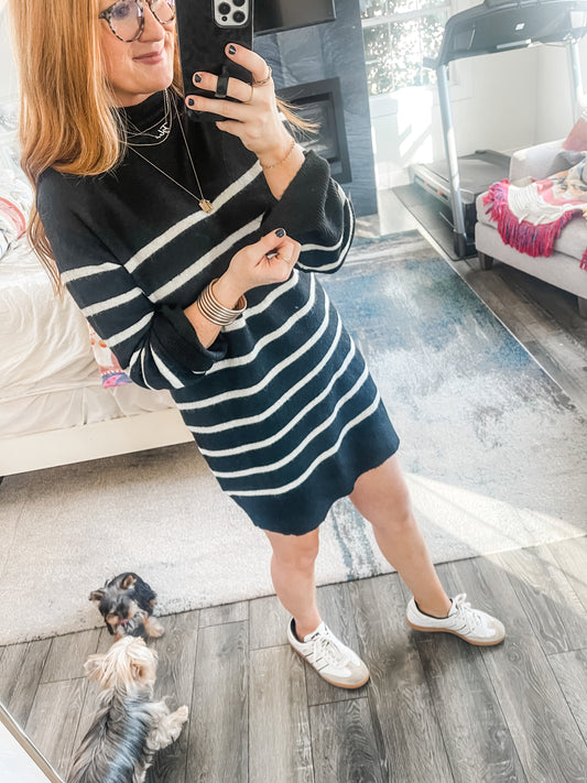 Z Supply Fin Stripe Sweater Dress