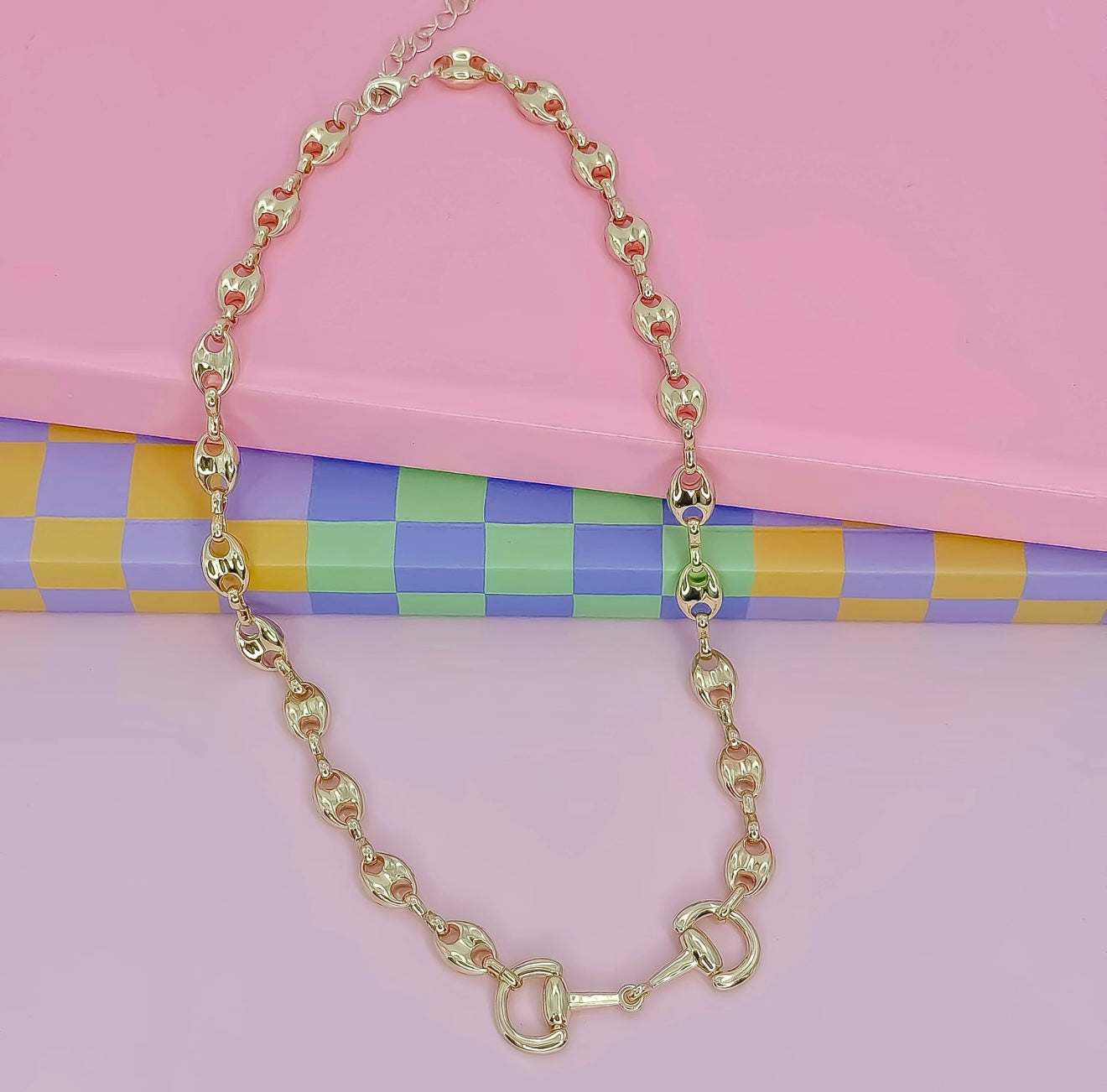 Saddle Luxe Necklace