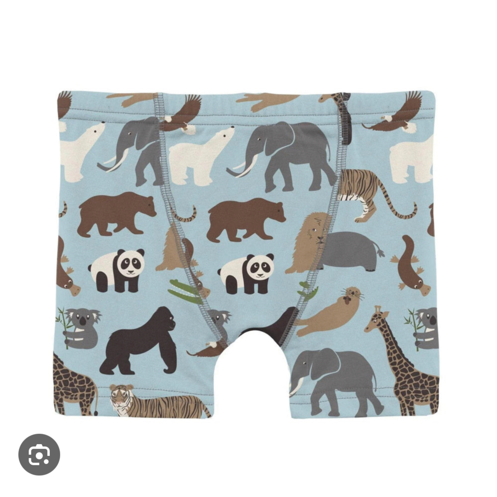 Kickee Pants Boxers - Spring Sky Zoo