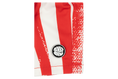 Load image into Gallery viewer, BinkyBro Miyazaki Board Shorts
