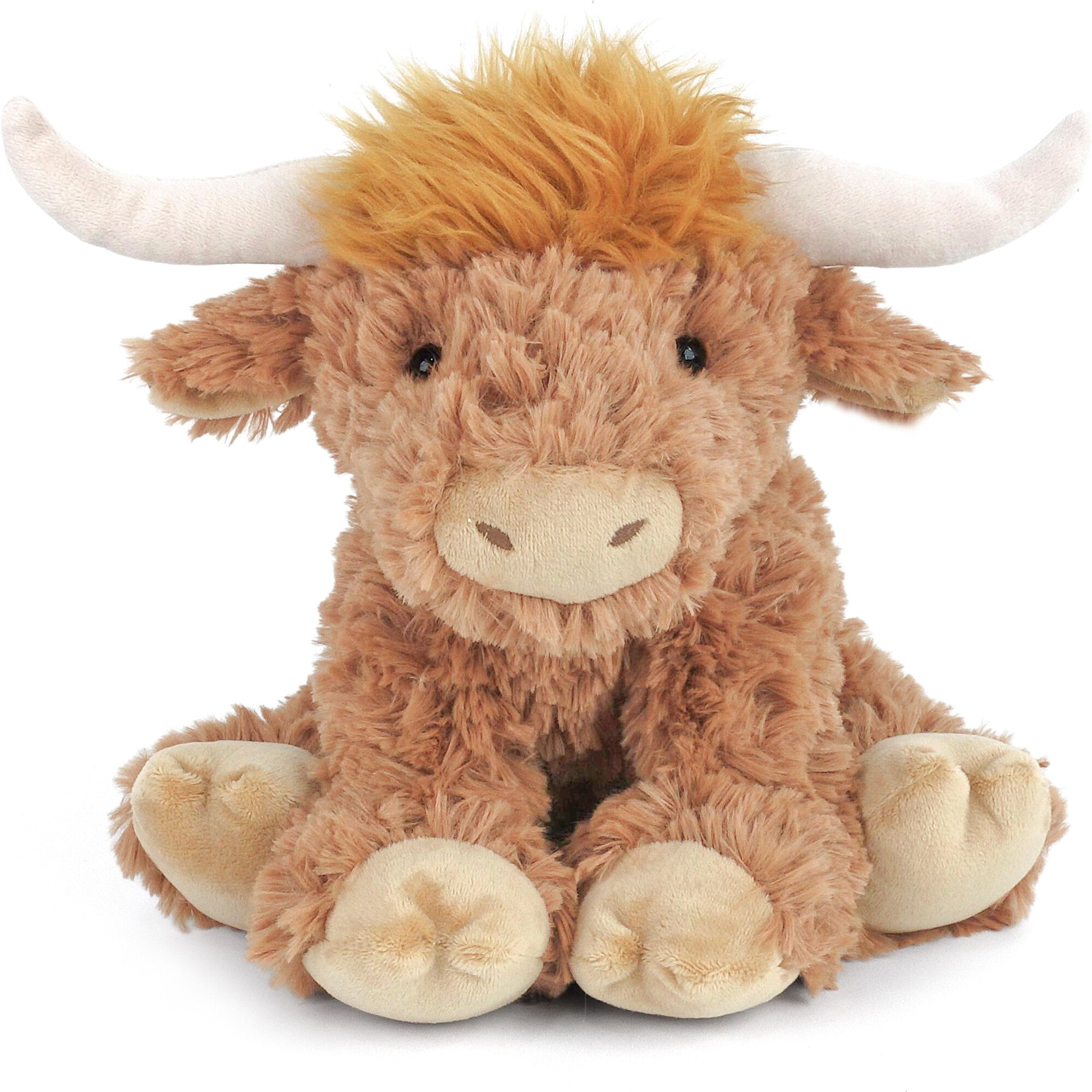 Harold the Highland Cow